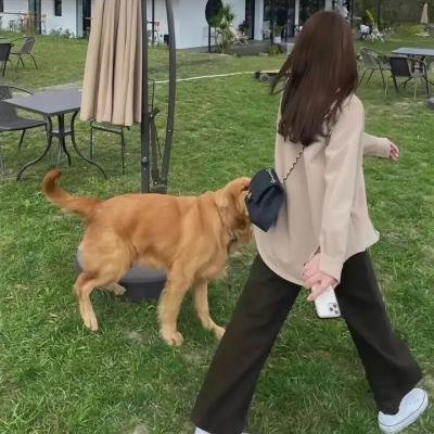 老人与枪